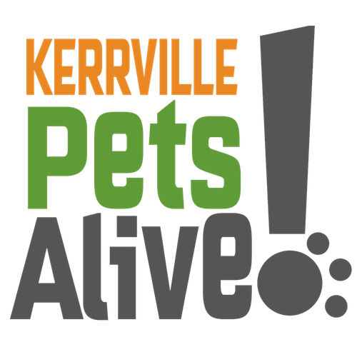 KPA Logo