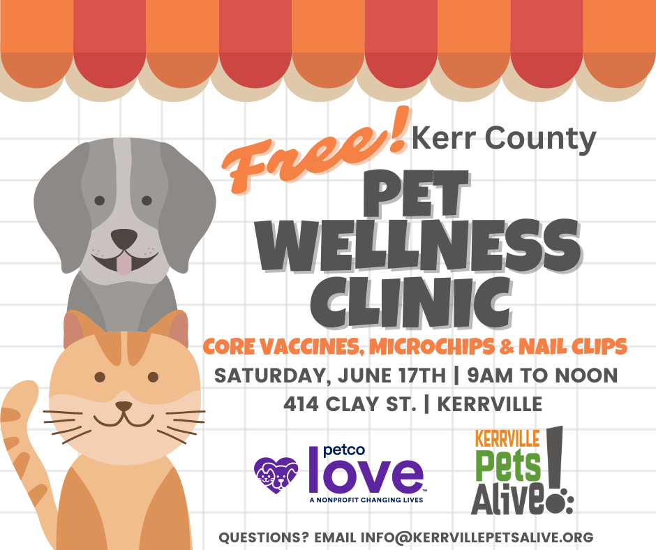 pet wellness clinic