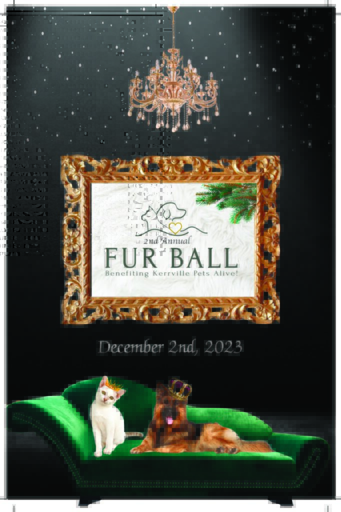 2023 Fur Ball_Page_1