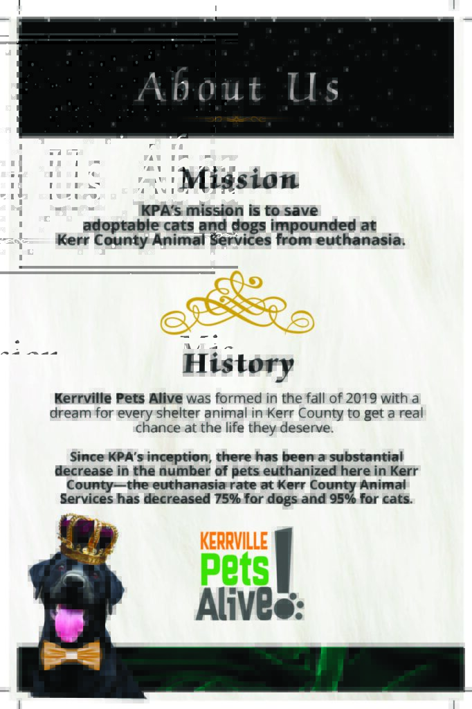 2023 Fur Ball_Page_2