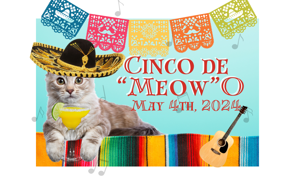 Cinco de “Meow” O