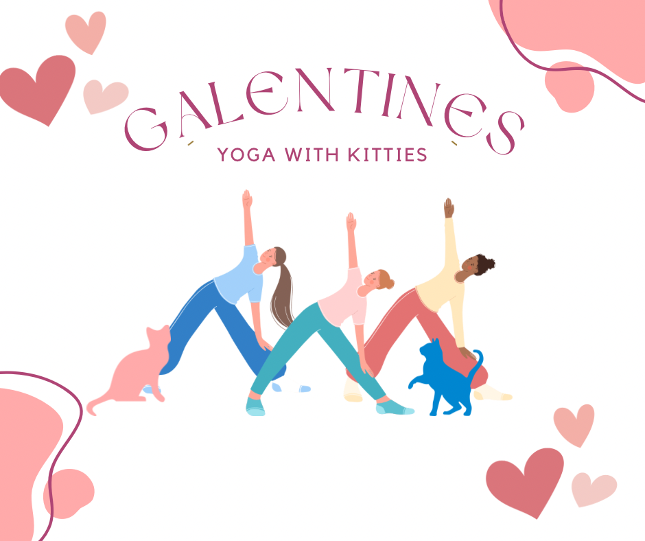 Galentine’s Day