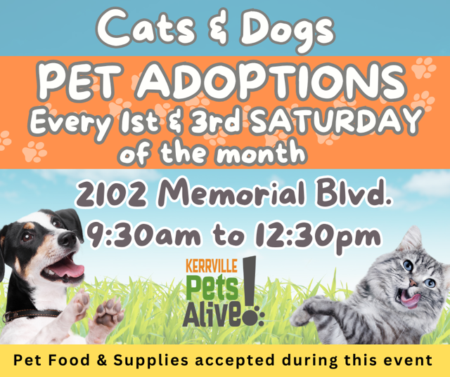 Pet Adoptions Saturday