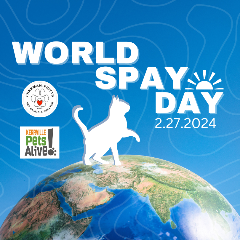 World Spay Day
