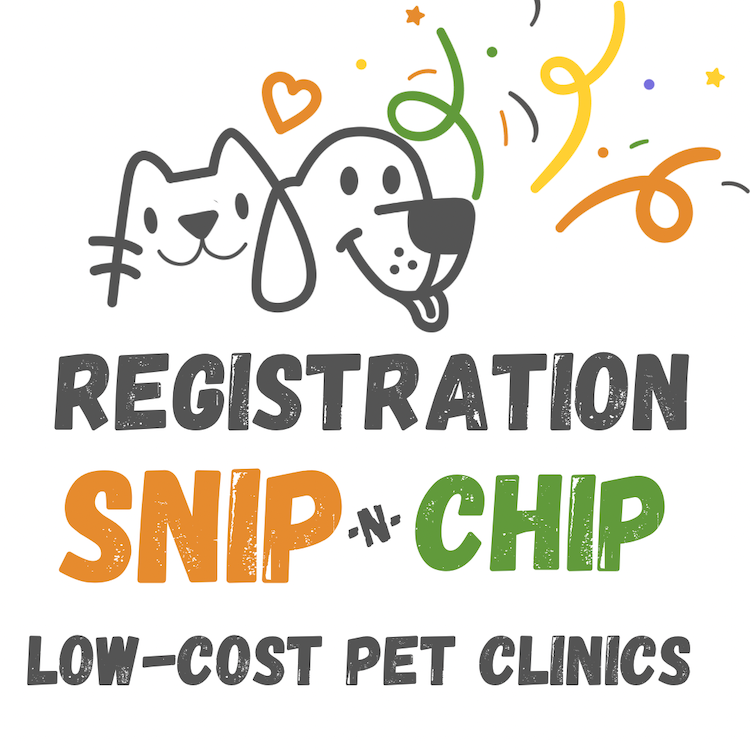 2025 SNIP and CHIP CLINICS